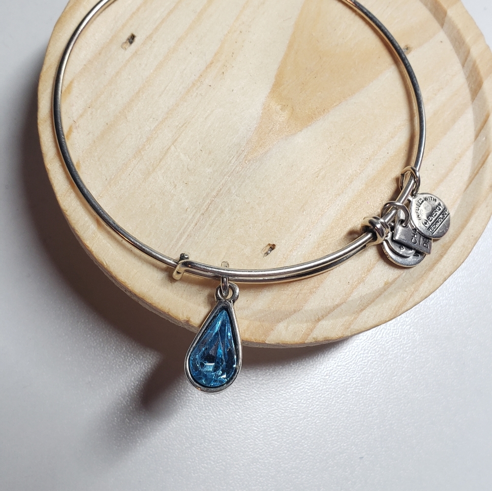 Alex and Ani Blue charm bracelet